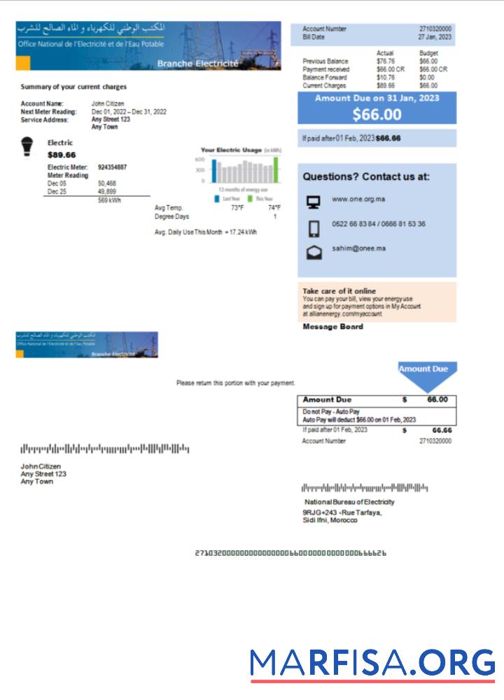 Blank Morocco National Bureau of Electricity utility bill Word and PDF template